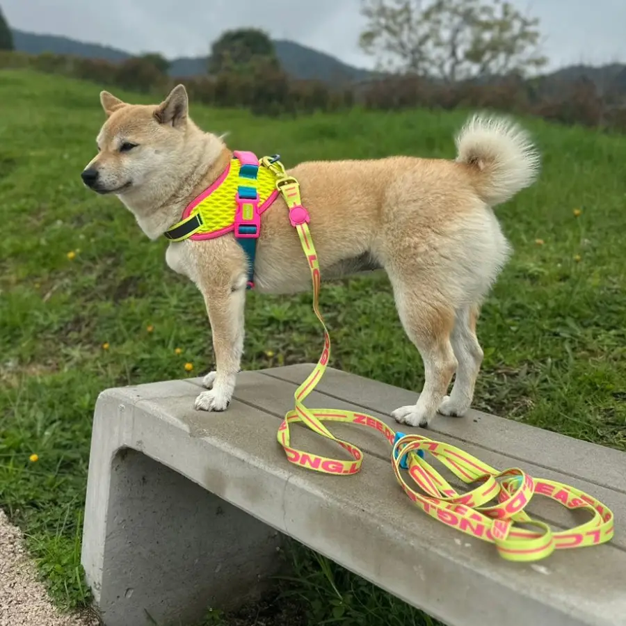 Aki usando FlyHarness CMYK